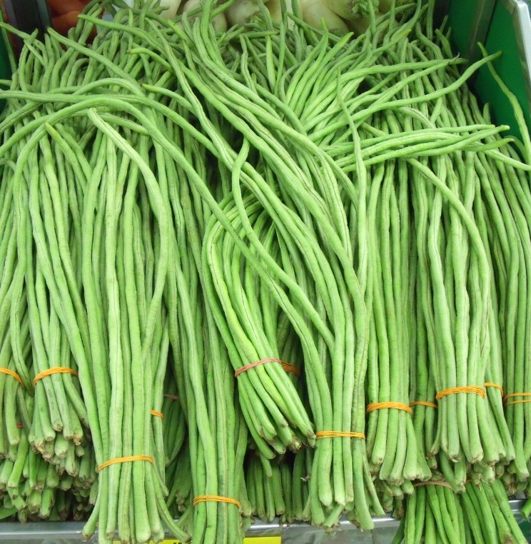 50 grams Thai Dwarf Bean Green Bean vegetable seeds Phaseolus vulgaris